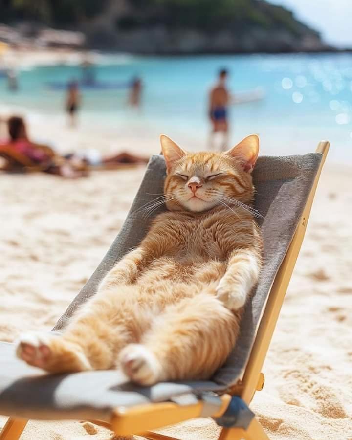 Duquesa 5210 Beach Side Paradise Castillo de Sabinillas エクステリア 写真